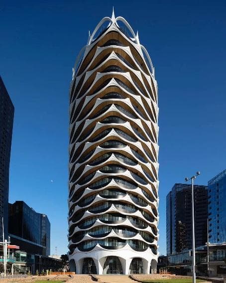 Banksia